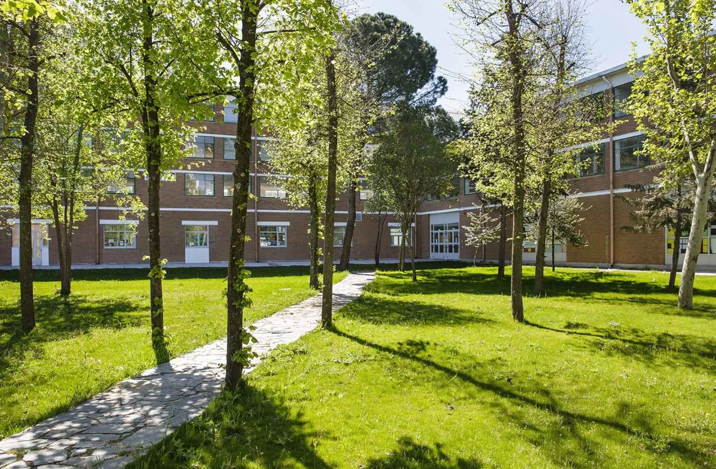 Schoolyard with trees